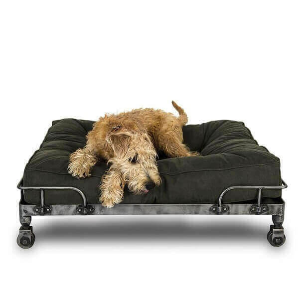 Luxious industrial pet bed