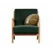 Sessel aus grünem Samt woood