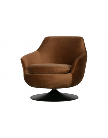 MEMBER - Brown lounge armchair