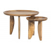 HAILEY - Set of 2 round wood and steel coffee table